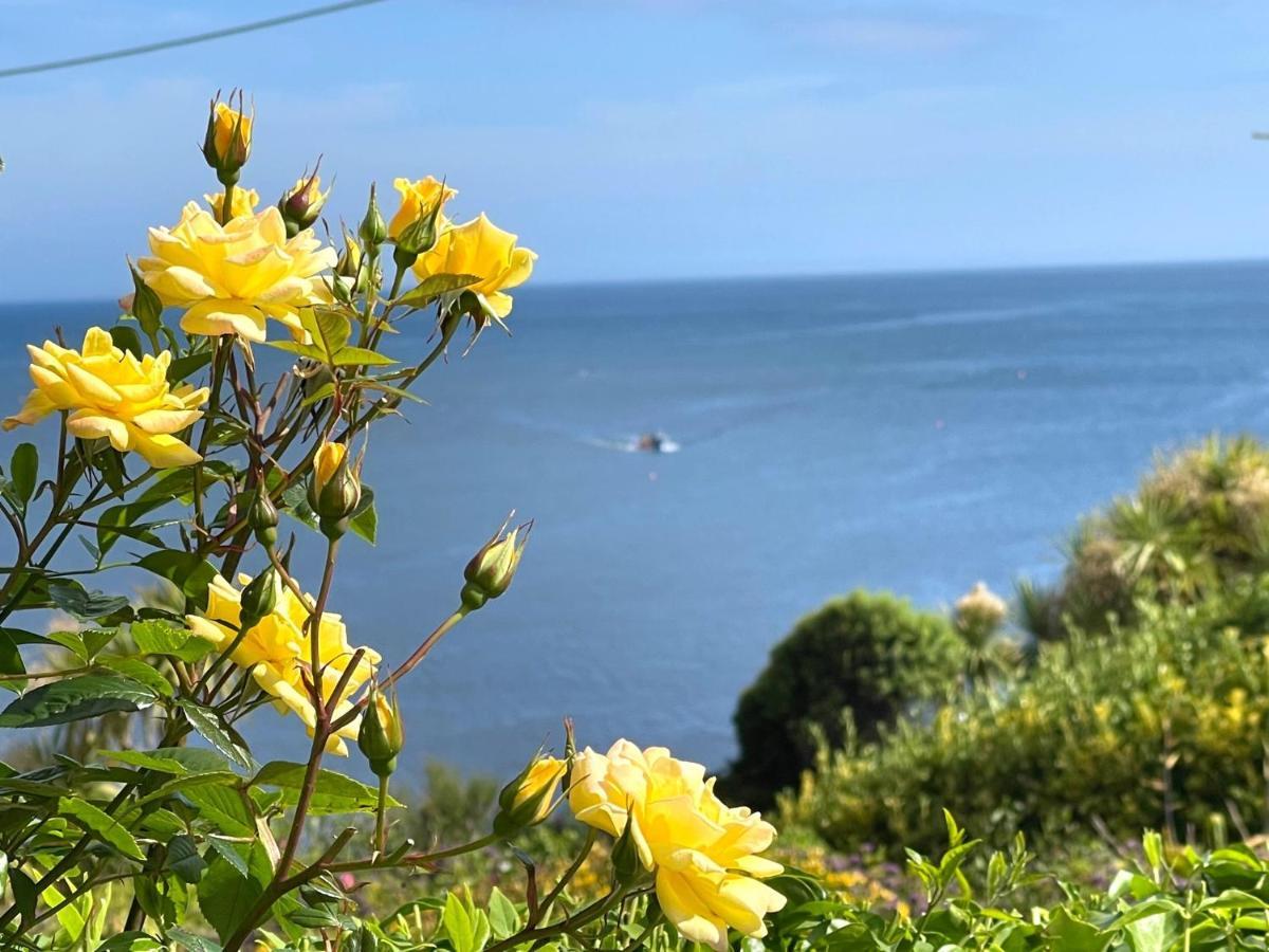Mousehole Cottage Penzance Bagian luar foto